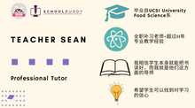 Load image into Gallery viewer, Teacher Sean Review / 评论区